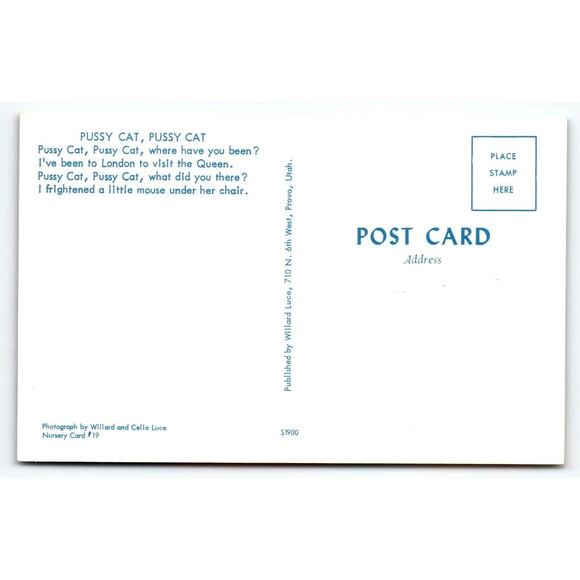 Cat Comical Postcard Kitten Flowers Women Weird Nursery Card Willard Luce - Picture 2 of 2